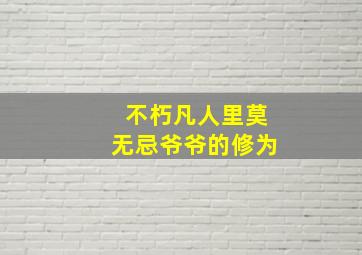 不朽凡人里莫无忌爷爷的修为