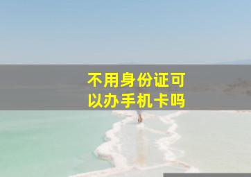 不用身份证可以办手机卡吗