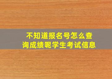 不知道报名号怎么查询成绩呢学生考试信息