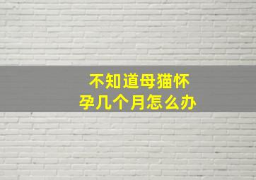 不知道母猫怀孕几个月怎么办