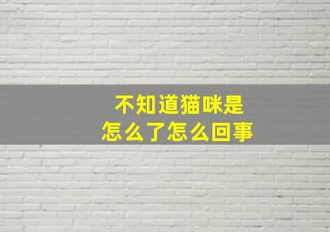 不知道猫咪是怎么了怎么回事