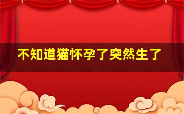 不知道猫怀孕了突然生了