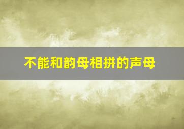 不能和韵母相拼的声母