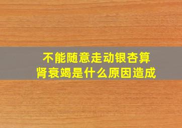 不能随意走动银杏算肾衰竭是什么原因造成