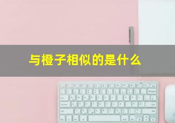 与橙子相似的是什么