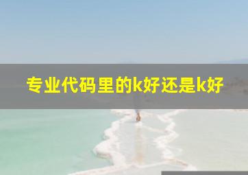 专业代码里的k好还是k好