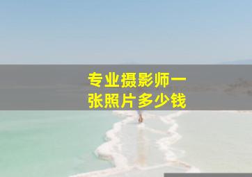 专业摄影师一张照片多少钱