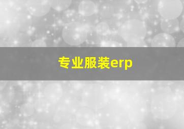 专业服装erp