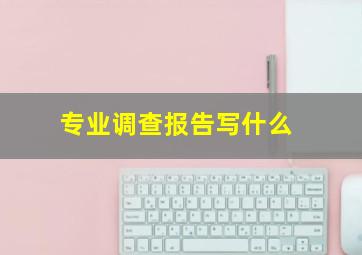 专业调查报告写什么