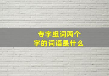 专字组词两个字的词语是什么