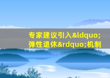 专家建议引入“弹性退休”机制