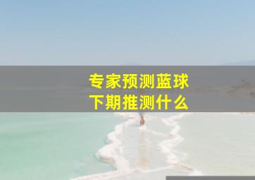 专家预测蓝球下期推测什么