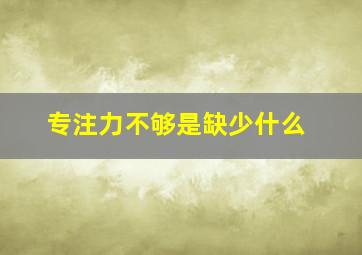 专注力不够是缺少什么