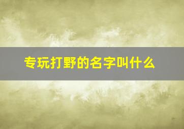 专玩打野的名字叫什么