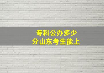 专科公办多少分山东考生能上