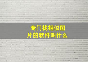 专门找相似图片的软件叫什么