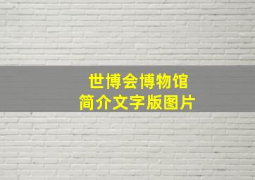 世博会博物馆简介文字版图片