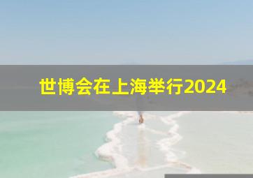 世博会在上海举行2024