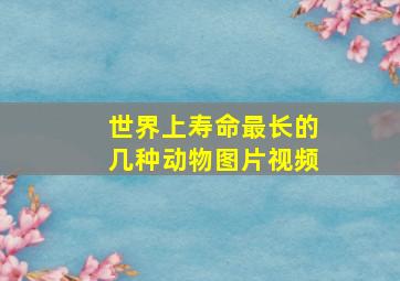 世界上寿命最长的几种动物图片视频