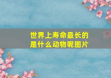 世界上寿命最长的是什么动物呢图片