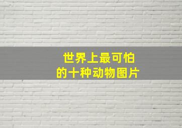 世界上最可怕的十种动物图片