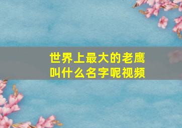 世界上最大的老鹰叫什么名字呢视频