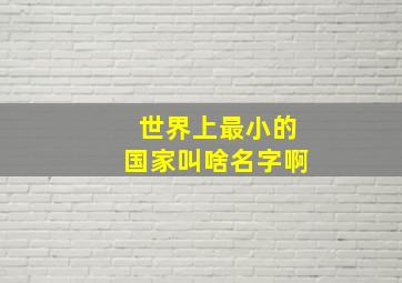 世界上最小的国家叫啥名字啊