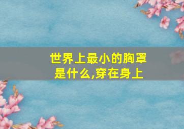 世界上最小的胸罩是什么,穿在身上