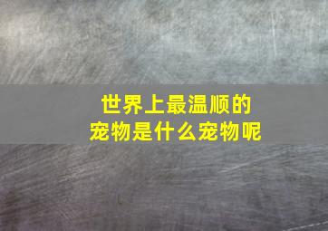 世界上最温顺的宠物是什么宠物呢