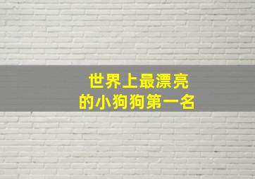 世界上最漂亮的小狗狗第一名