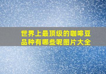 世界上最顶级的咖啡豆品种有哪些呢图片大全