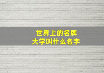 世界上的名牌大学叫什么名字