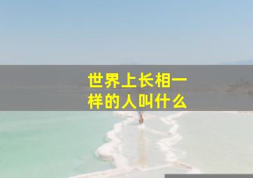 世界上长相一样的人叫什么