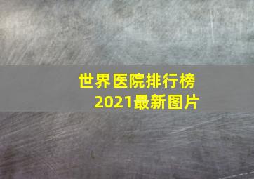 世界医院排行榜2021最新图片