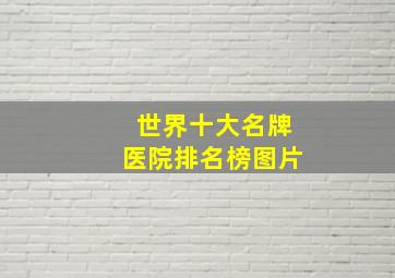 世界十大名牌医院排名榜图片