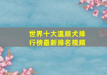 世界十大温顺犬排行榜最新排名视频