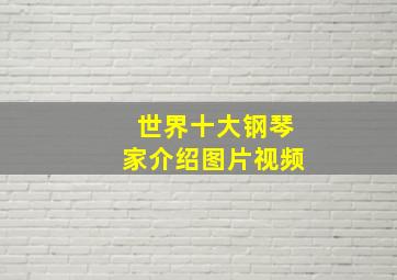 世界十大钢琴家介绍图片视频