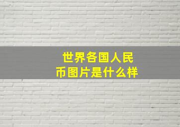 世界各国人民币图片是什么样