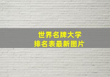 世界名牌大学排名表最新图片