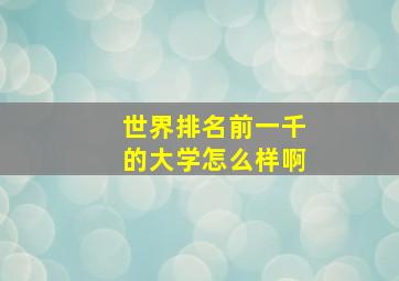 世界排名前一千的大学怎么样啊