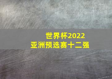 世界杯2022亚洲预选赛十二强