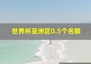 世界杯亚洲区0.5个名额