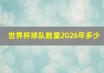 世界杯球队数量2026年多少