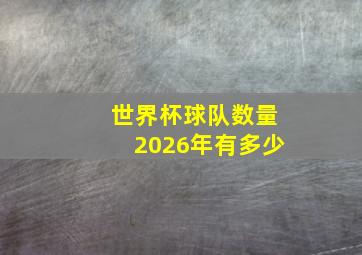 世界杯球队数量2026年有多少