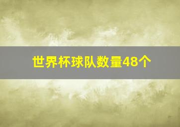 世界杯球队数量48个