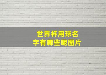 世界杯用球名字有哪些呢图片