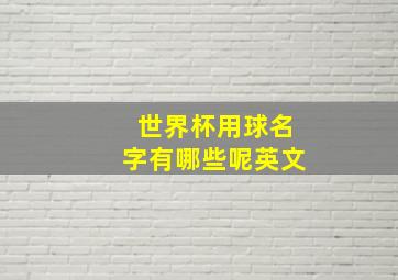 世界杯用球名字有哪些呢英文