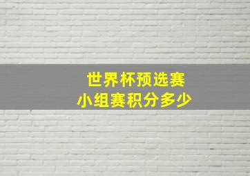 世界杯预选赛小组赛积分多少