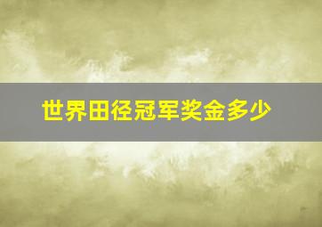 世界田径冠军奖金多少