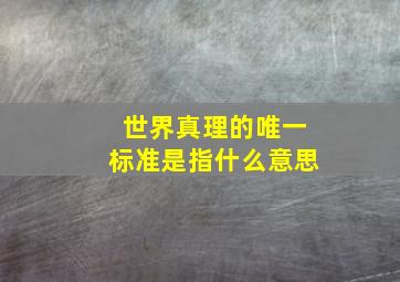 世界真理的唯一标准是指什么意思